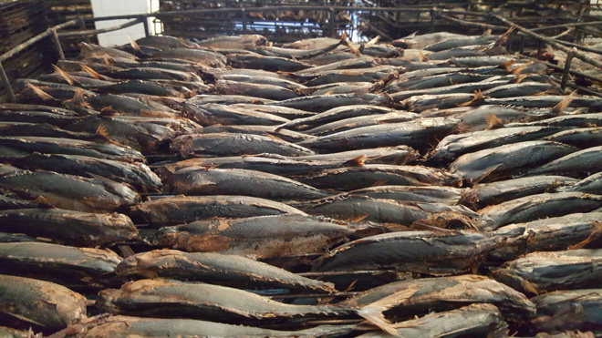 色翁荡息又大又硬又粗又爽