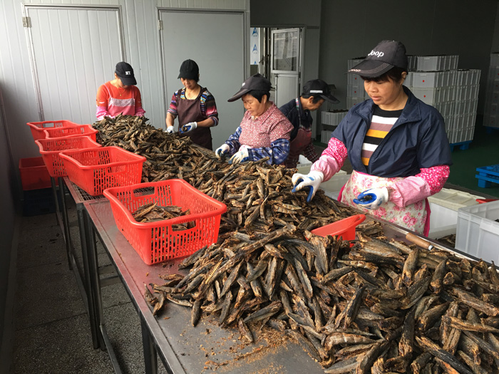 色翁荡息又大又硬又粗又爽