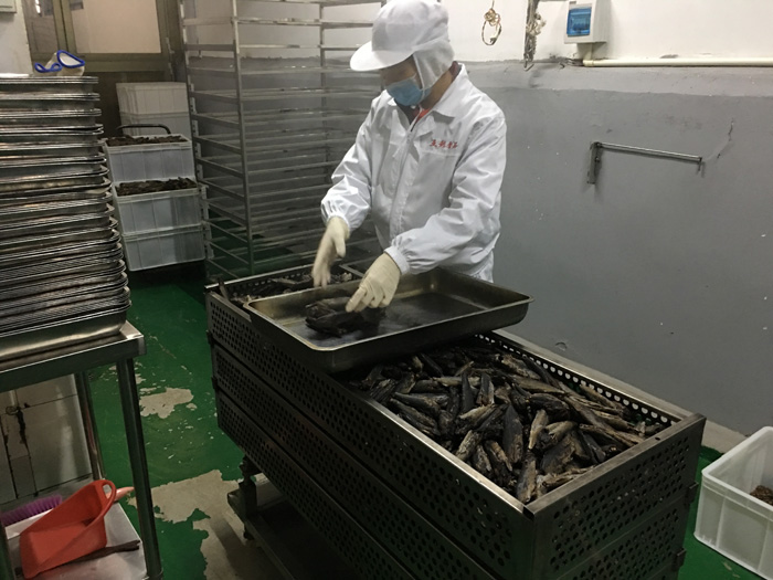 色翁荡息又大又硬又粗又爽