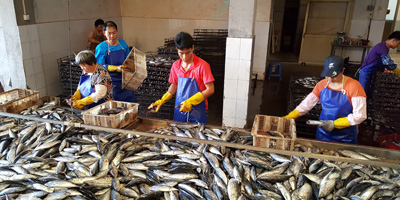 色翁荡息又大又硬又粗又爽